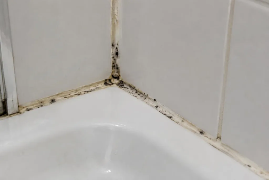 Kitbedrijf Utrecht – beschimmelde kitranden